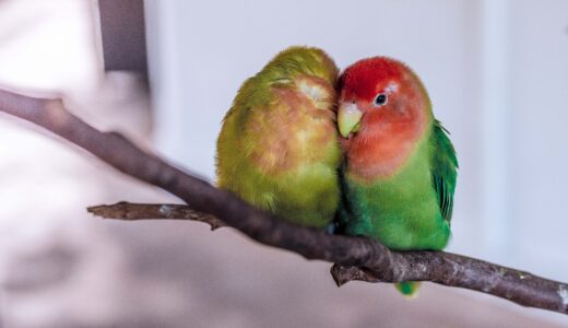 夫婦関係がうまくいかない人が必ずハマっている相性信仰とは？